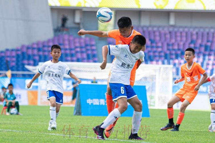 中国足协主席总结2024年足球工作